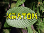 Kratom Powder